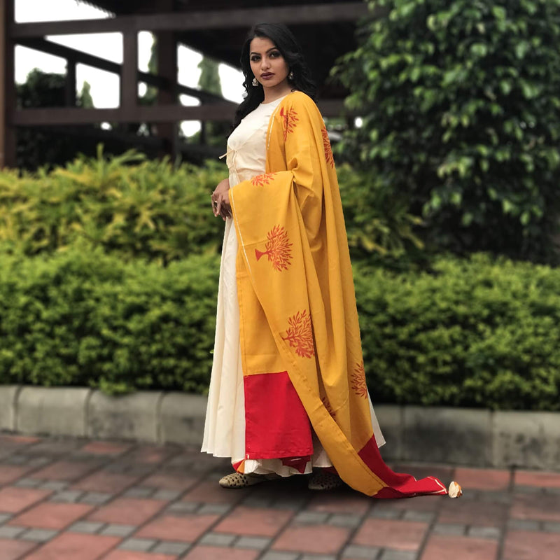 Chanderi gown with dupatta