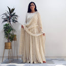 Ready to wear Off white Chikankari gown